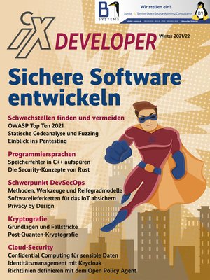 cover image of iX Developer